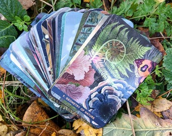 May include: A deck of tarot cards fanned out on a bed of leaves and greenery. The cards feature colorful illustrations of nature, including ferns, flowers, and a butterfly. The card on top reads "9. Geometry of Nature."