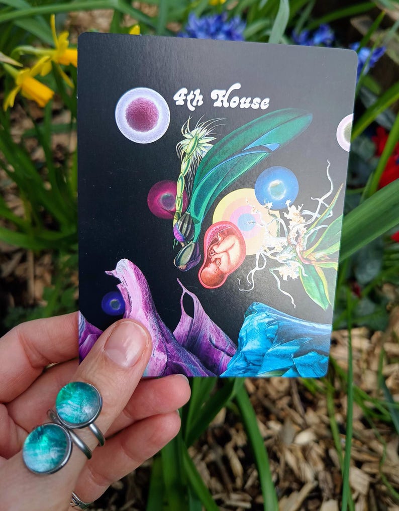 Celestial Bodies Astrology and Numerology Deck: for learners and practitioners * by Devany Amber Wolfe image 7