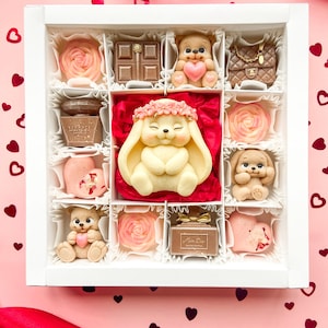 Artisan Chocolate Unique Present Gift for her Gift for mom Luxury belgian handmade chocolate DIY chocolate Themed Chocolates Mothers day