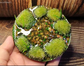 miniature pond, miniature model, miniature scene, pond grass scene, miniature decoration, 1:12, miniature dollhouse, 3D model