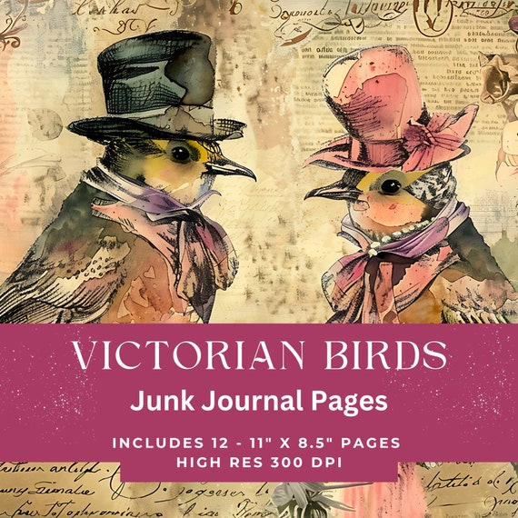 Funny Birds Junk Journal Printable Pages - Vintage Victorian Goofy Birds, Scrapbooking Digital Paper Download, Bird Lover Gift
