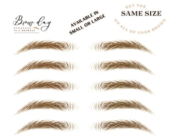 Eyebrow Stickers - SAME SIZE - Stockholm - LARGE - All the brows in the same size