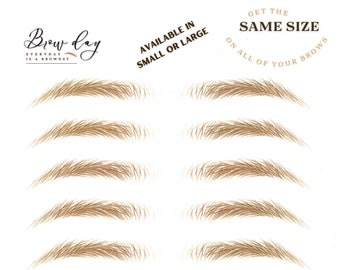 Eyebrow Stickers - SAME SIZE - Stockholm - SMALL - All Brows in the same size