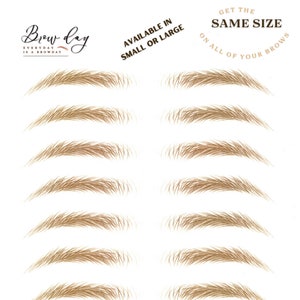 May include: A sheet of light brown eyebrow stencils with the text "Brow Day" and "Everyday is a Browday". The text "Available in Small or Large" and "Get the Same Size on all of your Brows" are also visible.