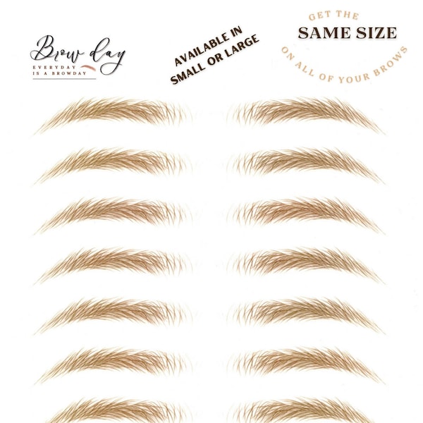 Eyebrow Stickers - SAME SIZE - Stockholm - SMALL - All Brows in the same size