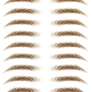Eyebrow Stickers SAME SIZE Stockholm LARGE All the brows in the same size image 4