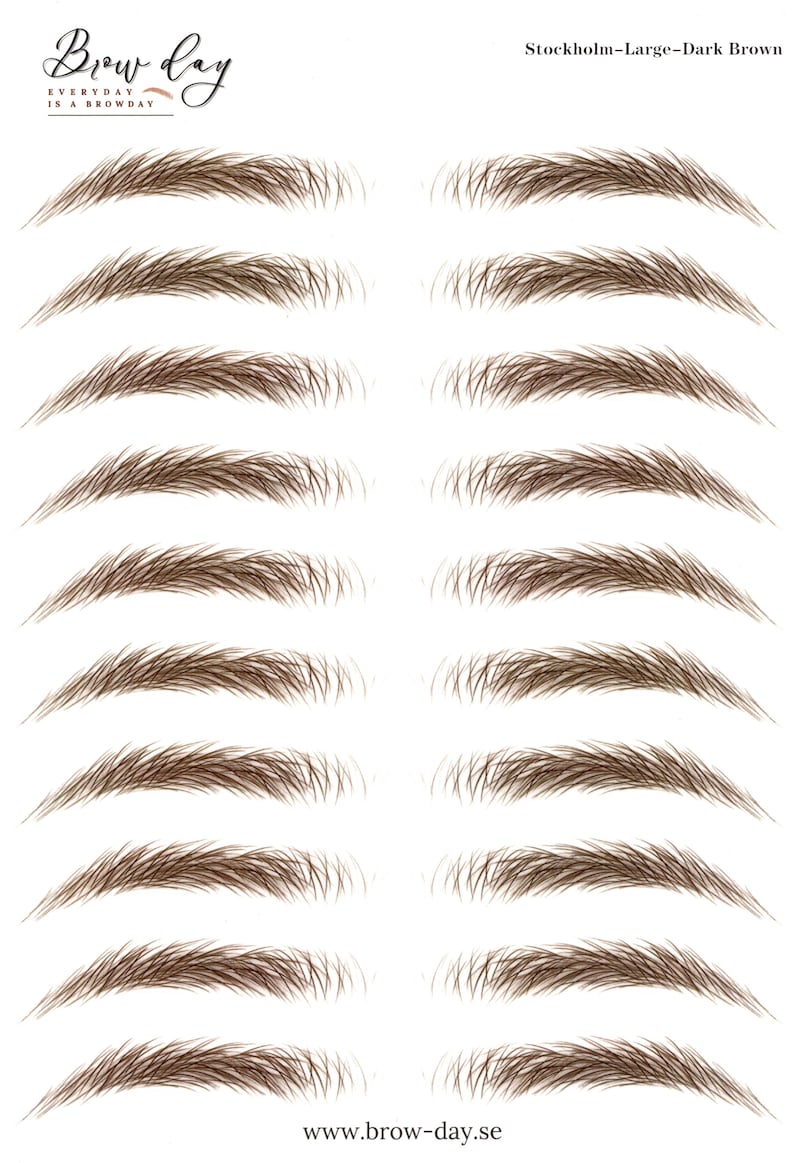 Eyebrow Stickers SAME SIZE Stockholm LARGE All the brows in the same size image 2