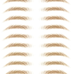 Eyebrow Stickers SAME SIZE Stockholm LARGE All the brows in the same size image 3