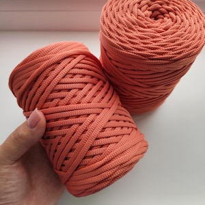 Peut inclure: Deux bobines cylindriques de cordon couleur corail, chacune présentant une texture tressée étroitement enroulée. Le cordon est constitué d'un brin continu de matériau tissé, affichant une teinte orange-rose vive et uniforme sur toute la surface.