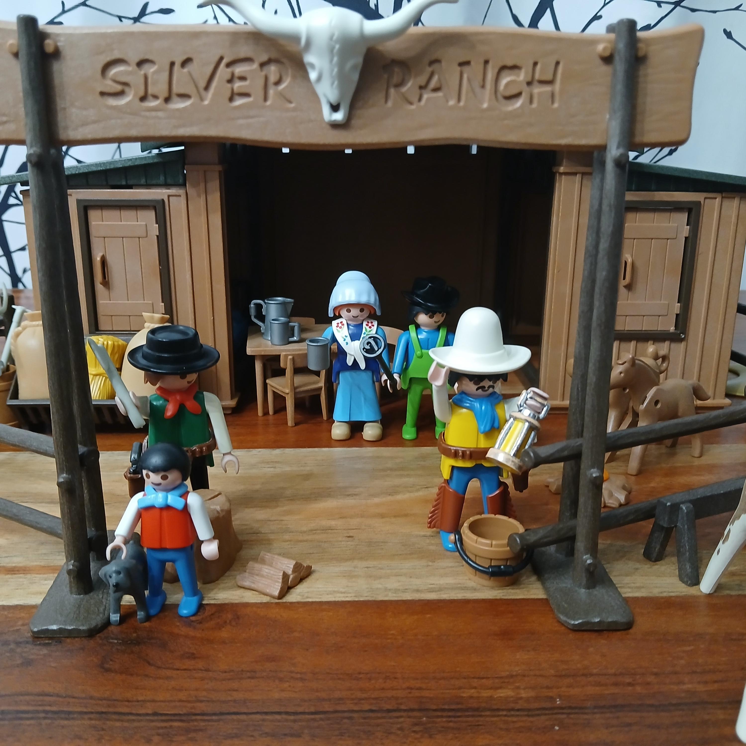 PLAYMOBIL , CROCHET , Bateau, Western, Château, Fort Médiéval EUR 3,00 - Foto 7