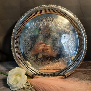 【Webster Wilcox】 ギャラリートレー サークル型 39cm 華麗！ Webster Wilcox】 ギャラリートレー サークル型 39cm 華麗！