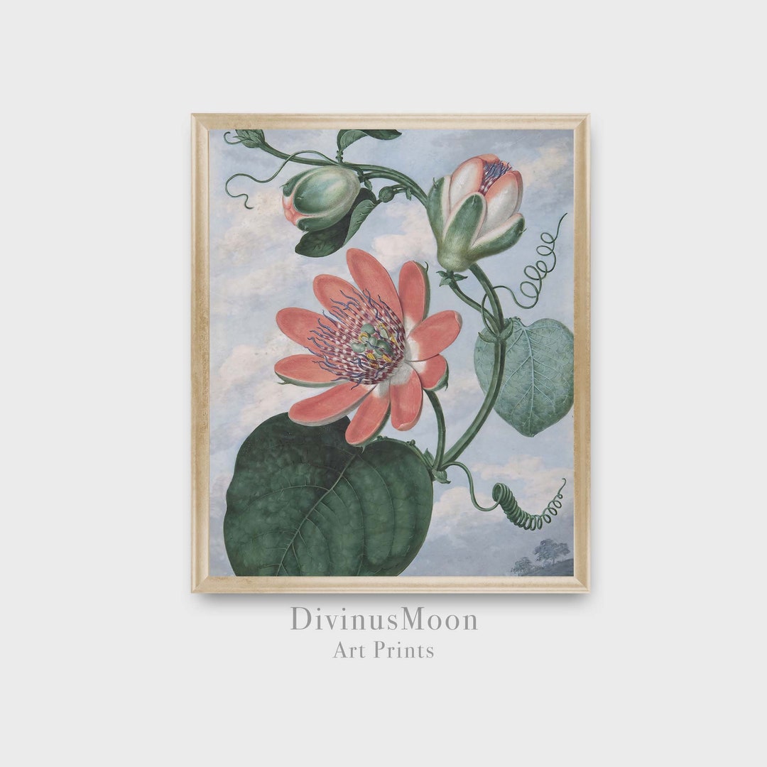 Vintage Botanical Print | Soft Floral Wall Art | Pink Green Blue Decor ...