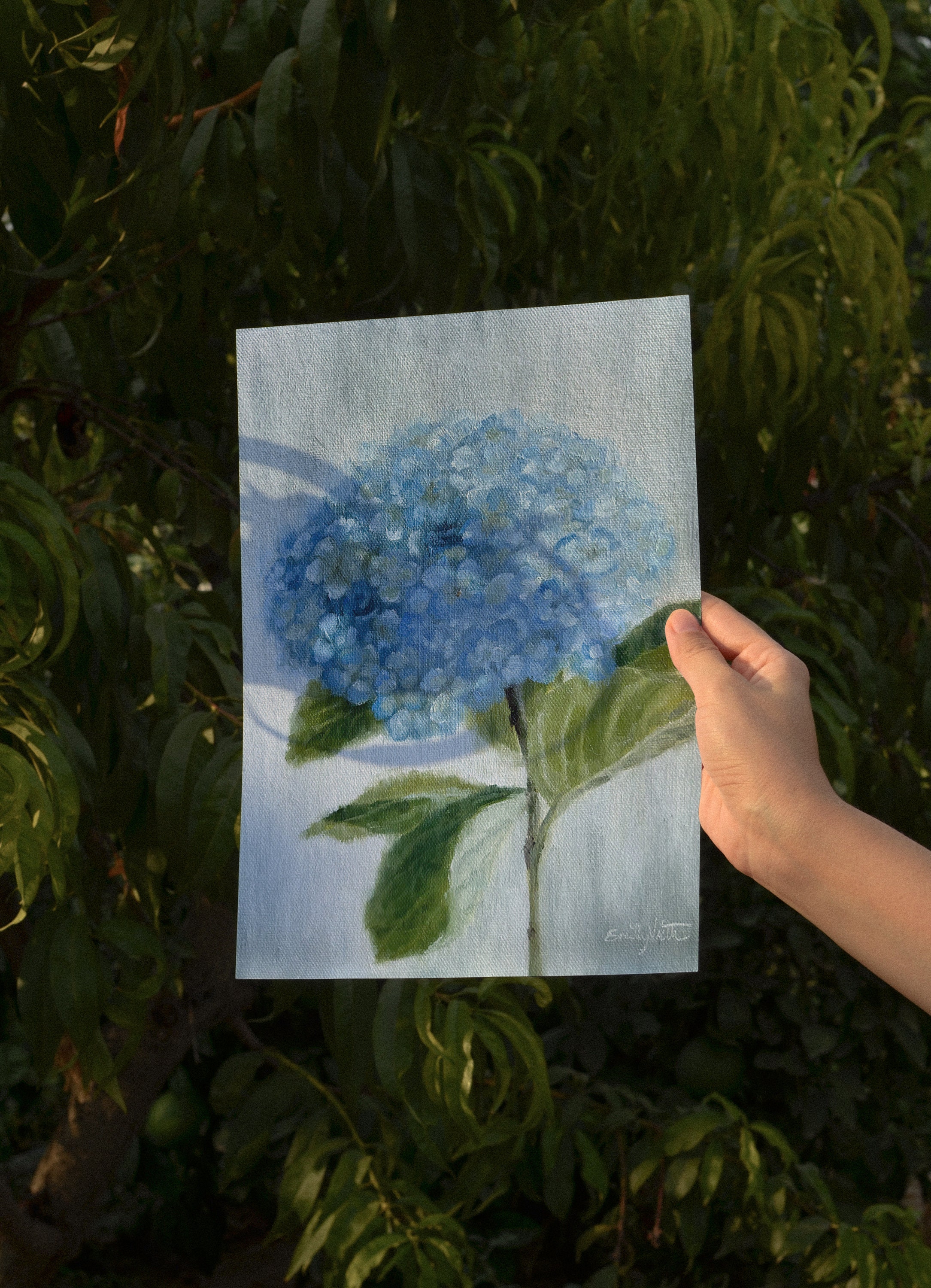 Blue Hydrangea Oil Painting Print | Fine Art Giclee Print | Floral ...