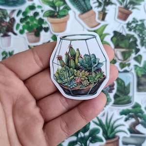 Peut inclure: Un autocollant représentant un terrarium avec diverses succulentes et cactus. Le terrarium a une forme géométrique avec un extérieur en verre transparent. L'autocollant est entouré d'autres autocollants sur le thème des plantes.