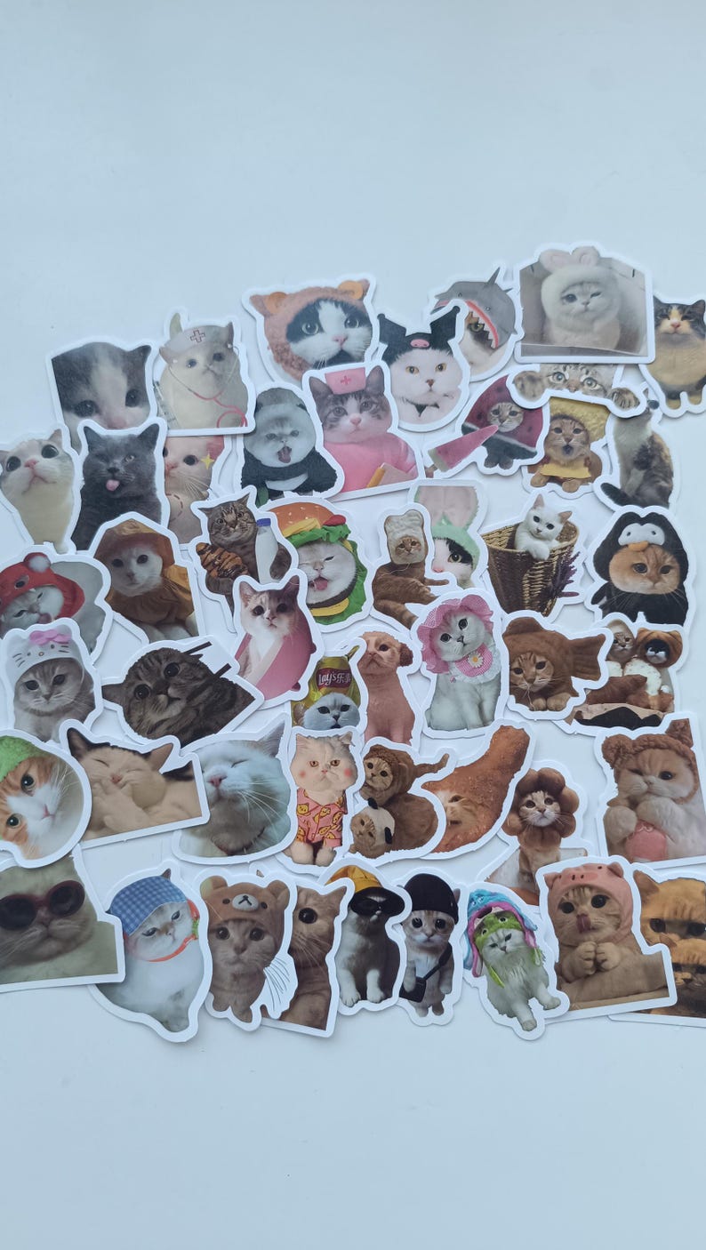Mixed Meme Cat Stickers - Waterproof Vinyl Decals for Laptops, Water ...