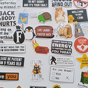 Puede incluir: Una colección de pegatinas humorísticas con varios diseños y textos. Las pegatinas presentan frases como "Back & Body Hurts", "I'm not insulting you, I'm describing you" e ilustraciones de dibujos animados.