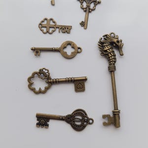 Pode incluir: Coleção de chaves em estilo antigo em metal bronze. As chaves apresentam desenhos decorativos, incluindo corações, flores e um cavalo-marinho. Algumas chaves têm a palavra "LOVE". As chaves são de várias formas e tamanhos.