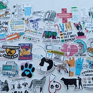 May include: A selection of colourful stickers with veterinary themes. The stickers display images of animals, medical equipment, and text such as "Veterinary Medicine" and "Follow Your Passion".