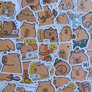 Può includere: Una collezione di adesivi di capibara marroni in varie pose ed espressioni. Alcuni adesivi hanno testo, tra cui "Leave me alone" e "Hi". Gli adesivi sono su una superficie bianca.