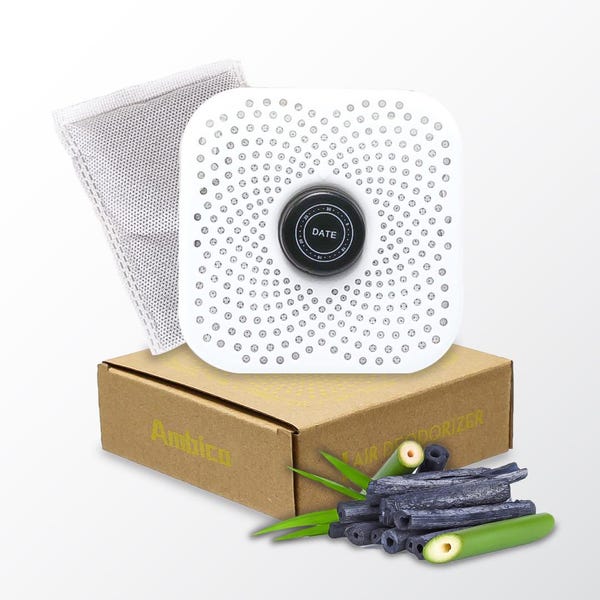 Absorbeur d'odeurs au charbon actif : réfrigérateur, maison, purificateur d'air de voiture