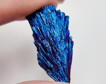 Aura Coated Black Kyanite Crystal: Iridescent Peacock Gift