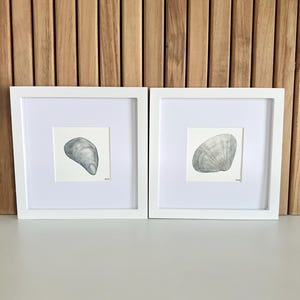 Set of 2 Watercolor Seashell Art Prints – Framed Coastal Wall Decor, 8x8 Framed Artwork - Hand-Painted Beach-Inspired Shell Artwork