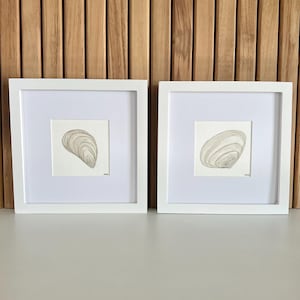Set of 2 Watercolor Seashell Art Prints – Framed Coastal Wall Decor, 8x8 Framed Artwork - Hand-Painted Beach-Inspired Shell Artwork