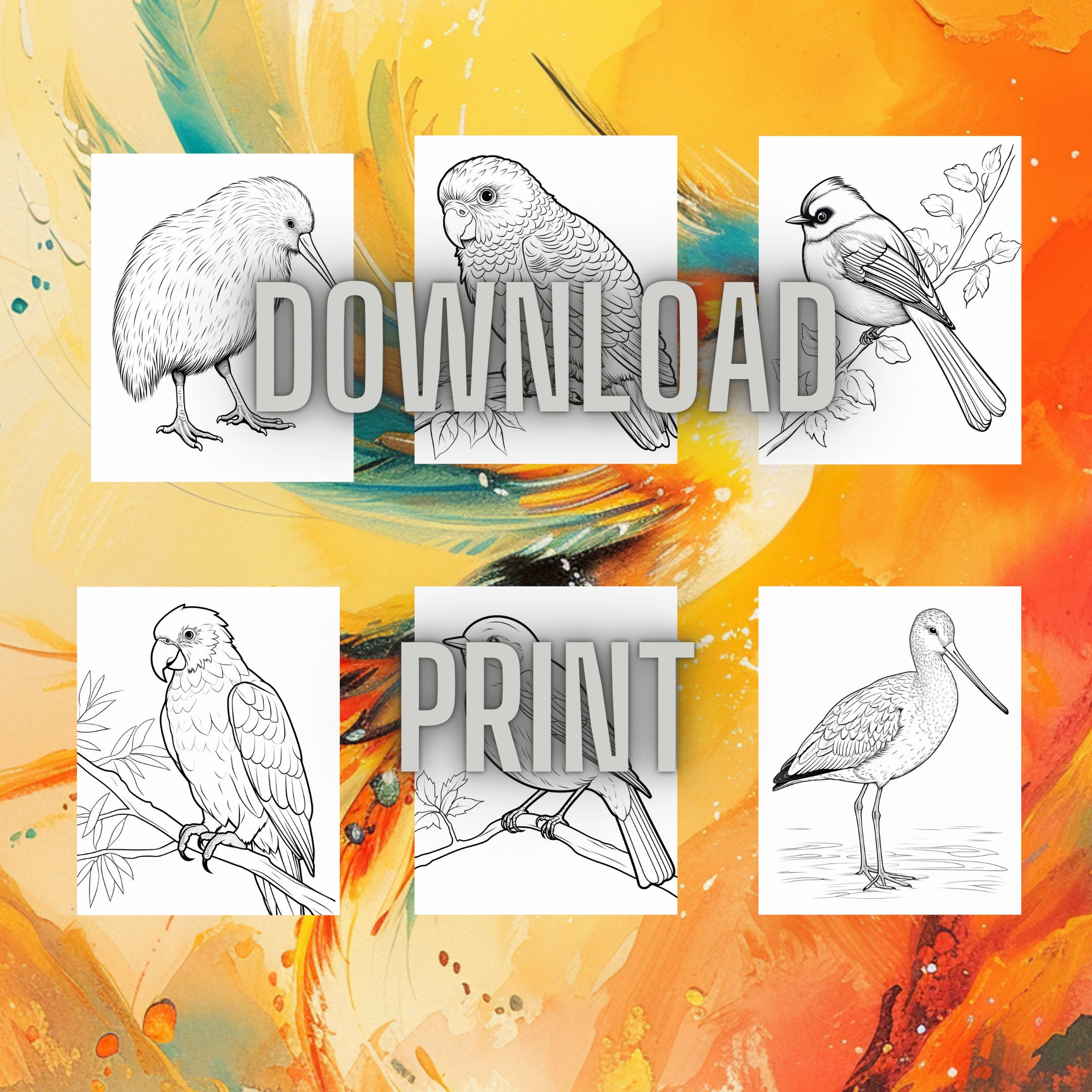 Cute NZ Birds Coloring Pages for Kid's, Digital Download Coloring Page ...