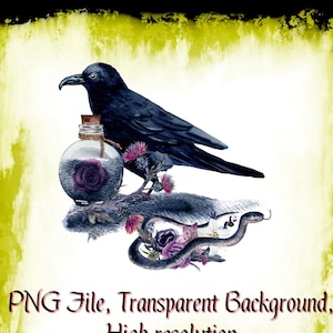 Fichier PNG corbeau et serpent de Style gothique, texturé Grunge Clipart Illustration, sublimation d'oeuvres d'art créatives, Image imprimable en téléchargement numérique