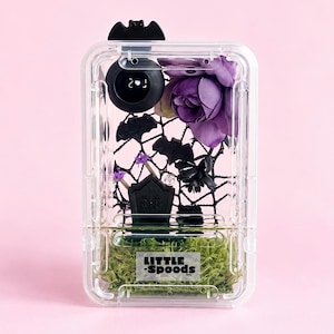 May include: A clear rectangular display case containing a black bat topper, a purple flower, black bat silhouettes, a black tombstone with the letters RIP, and green moss. The case features a white label with the text LITTLE SPOODS.