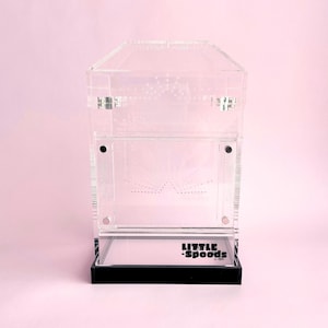Medium IMAGINARIUM Jumping Spider enclosure | Sling arboreal tarantula enclosure | Jumping spider front opening enclosure house