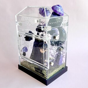 Side view of handmade gothic jumping spider enclosure with magnetic decorations and acrylic habitat.