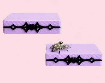 Gothic Jumping Spider Ledges