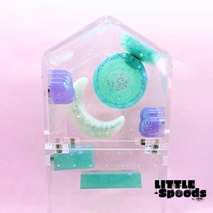 Jumping spider shelves | Glitter purple Jumping spider Ledges