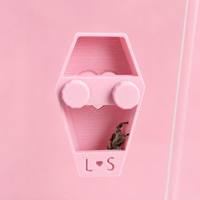 Back of a magnetic jumping spider coffin hide showing the open hollow design for easy spider monitoring.