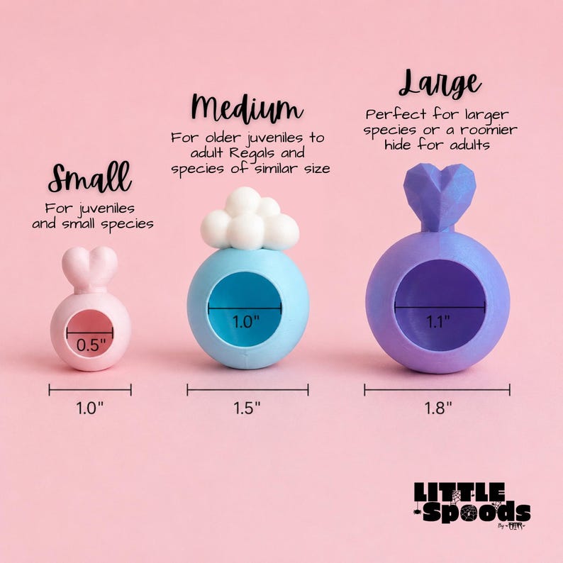 Jumping spider hide size chart showing small medium and large hide dimensions, including jumping spider cloud hide and heart hide. This chart shows the adequate size for juvenile and adult regal jumping spiders