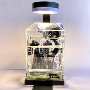 Decorated gothic jumping spider enclosure illuminated with optional Lumi display light.