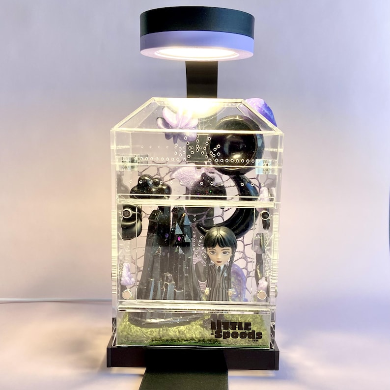 Decorated gothic jumping spider enclosure illuminated with optional Lumi display light.