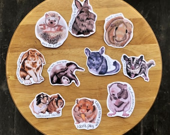 Small Mammal Pet Stickers, Rabbit Stickers, Guinea Pig Stickers, Hedgehog Stickers, Exotic Pet Stickers,Pocket Pet Stickers