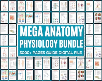 Anatomy & Physiology Bundle with Flashcards and Stickers | Anatomy Study Guide | Nursing School Notes | Medical Notes | Instant Download PDF