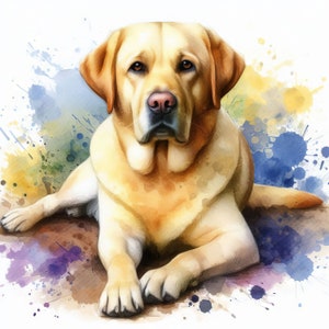 Yellow Lab Clip Art 10 JPG de acuarela de alta resolución para diario basura, scrapbooking, fabricación de tarjetas, kit de descarga digital