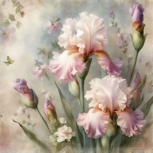 Könnte beinhalten: Ein Strauß aus rosa und weißen Iris mit grünen Blättern und Stielen. Die Blumen sind in einer Vase arrangiert und von einem weichen, hellen Hintergrund umgeben.