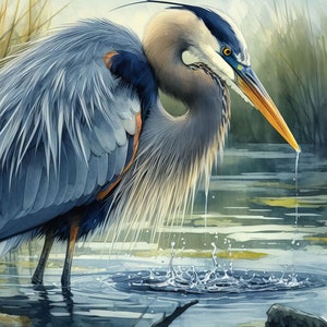 Pacote de clipart de garça-azul-grande: 10 JPGs em aquarela de alta resolução para diário, scrapbook, artesanato e download digital