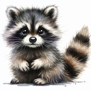 Clipart raton laveur mignon 10 fichiers JPG aquarelle haute résolution pour la journalisation indésirable, scrapbooking, fabrication de cartes, téléchargement numérique, fantastique, fantaisiste