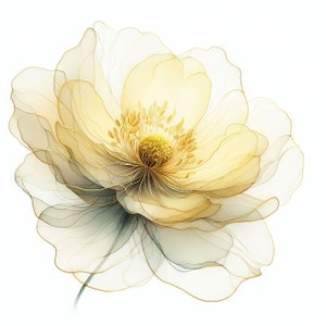 Magnifique clipart fleur jaune bordé d'or 10 fichiers JPG aquarelle haute résolution pour la journalisation indésirable, le scrapbooking, la fabrication de cartes, le kit de téléchargement numérique