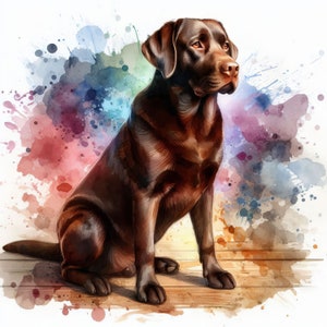 Chocolate Lab Clip Art 10 high-res aquarel jpg's voor junkjournaling, scrapbooking, kaarten maken, digitale downloadkit