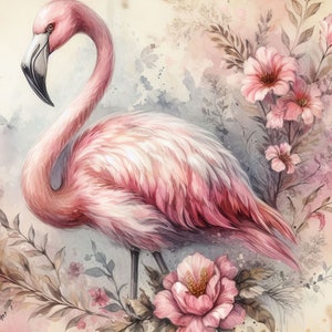 Paquete de imágenes prediseñadas de flamencos: 10 archivos JPG de acuarela de alta resolución para diario basura, álbumes de recortes, manualidades, descarga digital, naturaleza, rosa