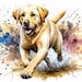 Yellow Lab Clip Art 10 High Res Watercolor Jpgs for Junk Journaling ...