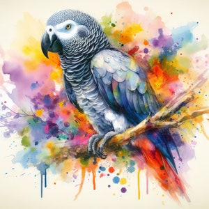 ClipArt di pappagallo grigio africano 10 JPG ad alta risoluzione dell'acquerello per Junk Journaling, Scrapbooking, creazione di carte, kit di download digitale