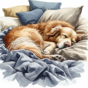 Clip Art de perrito mimado 10 archivos JPG de acuarela de alta resolución para diario basura, álbumes de recortes, fabricación de tarjetas, kit de descarga digital Perros caprichosos